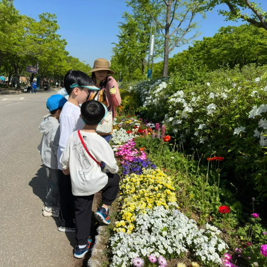[3회 패키지+숲가방 증정] 전남 광주 어린이 봄 숲체험 유아 초등 자연 주말 체험 학습 클럽숲 by 숲파티포레 이미지 2