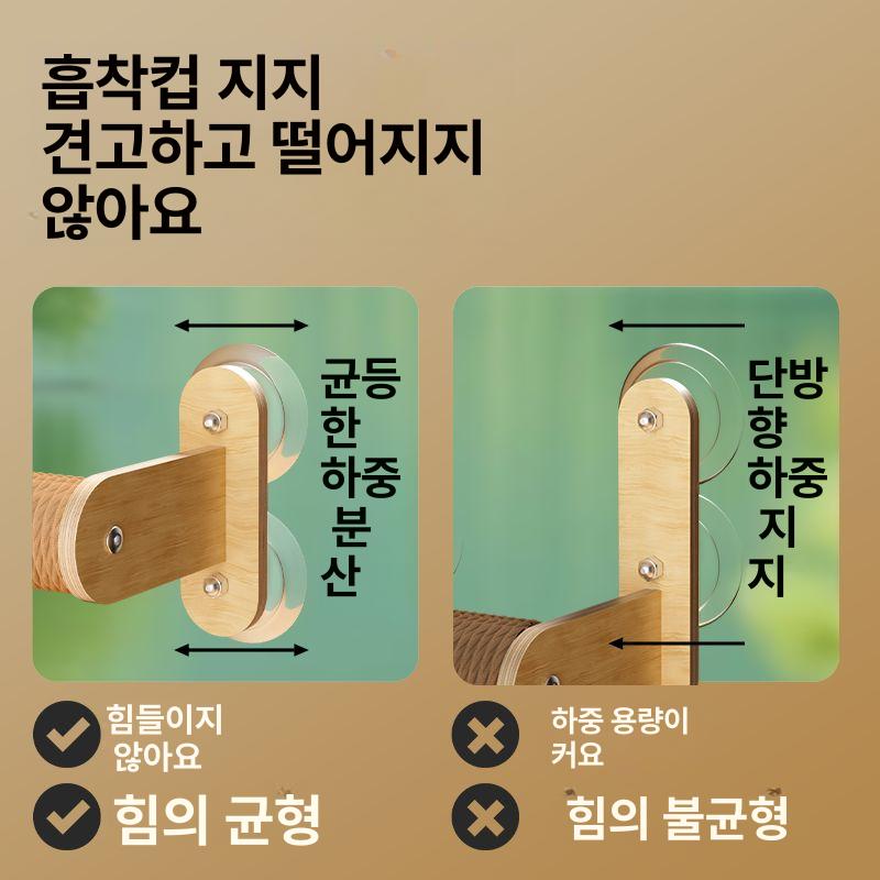 고양이 투명해먹 캣볼 침대 슬림형 캡슐 우주선 흡착식 1단 고양이 기어 - 상세 이미지 4