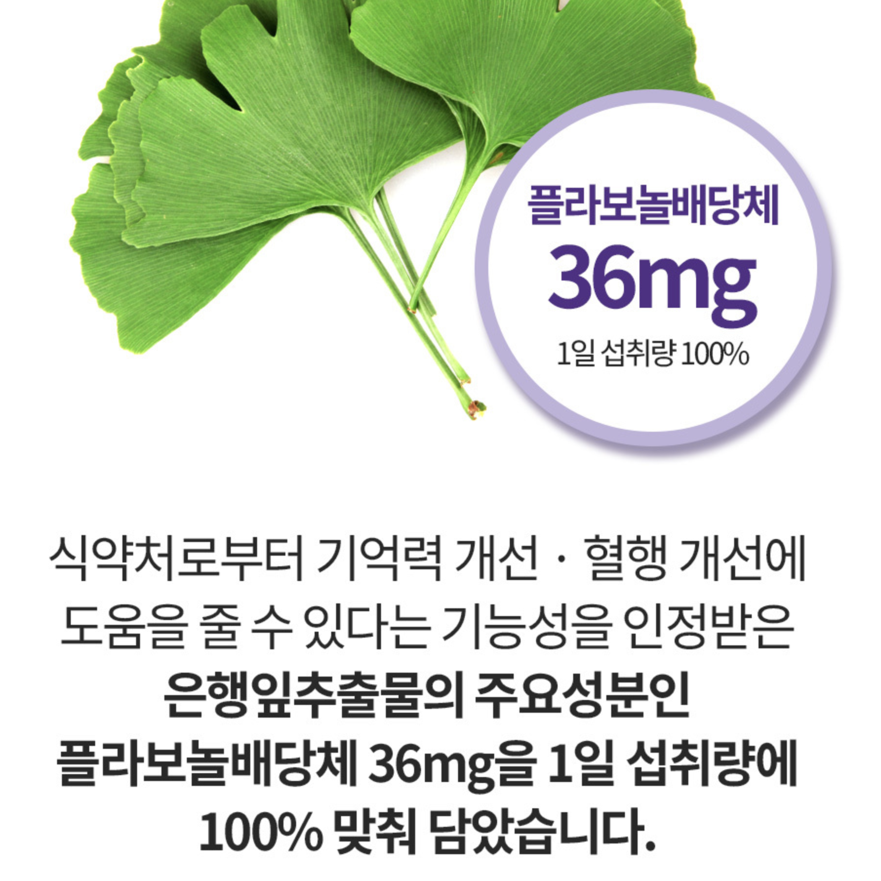 뇌 건강 영양제 두뇌 포스파티딜세린캡슐 포스타파티딜세린 기억력개선영양제 포스트딜세린 이미지 8