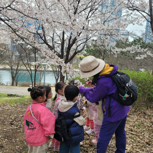 [3회 패키지+숲가방 증정] 부산 창원 어린이 봄 숲체험 유아 초등 자연... 솔직 후기 | 실사용자 리뷰 분석 - 상품 이미지 4