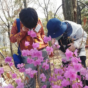 [3회 패키지+숲가방 증정] 용산 상암 송파 어린이 봄 숲체험 유아 초등... 솔직 후기 | 실사용자 리뷰 분석 - 상품 이미지 2