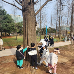 [3회 패키지+숲가방 증정] 전남 광주 어린이 봄 숲체험 유아 초등 자연... 솔직 후기 | 실사용자 리뷰 분석 - 상품 이미지 3