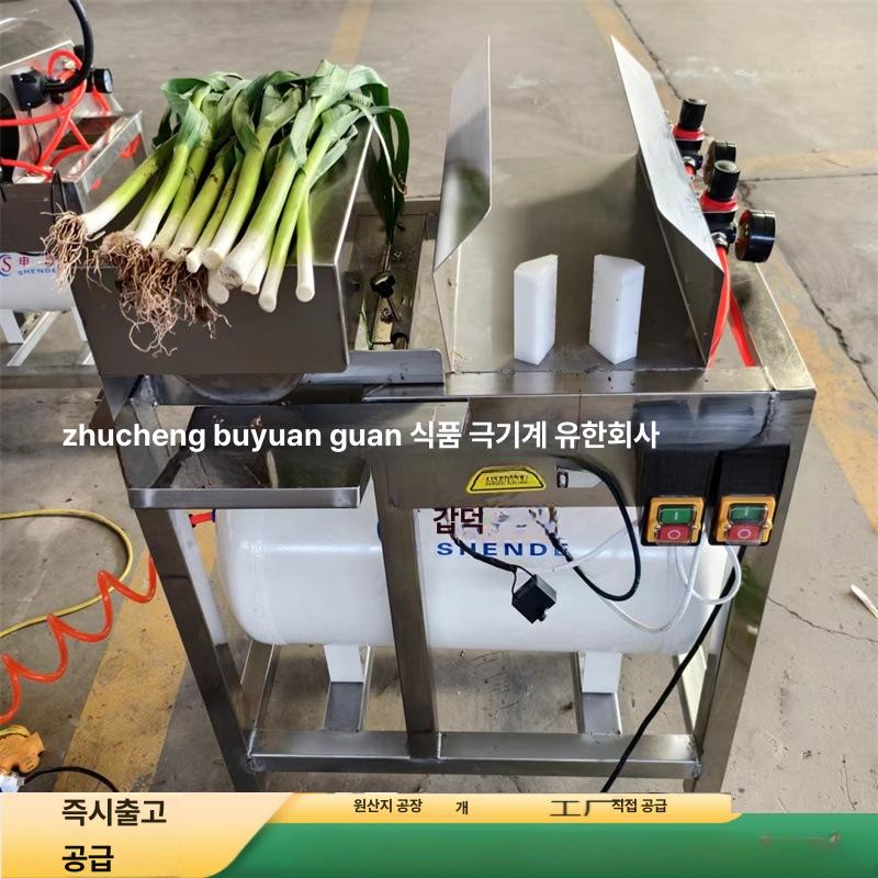 쪽파탈피기 대용량 대파 박피기 상품 필링기 파껍질 제거 스테인리스 스텐 공압식 자동 600 예약금 - 상품 이미지