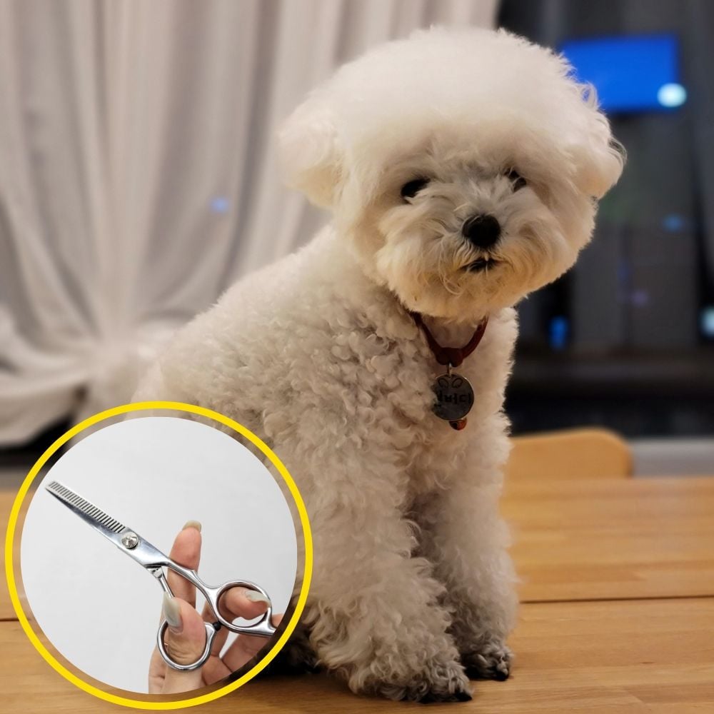 스텐레스 미용 이발 숱치기 틴닝가위 - 상품 이미지