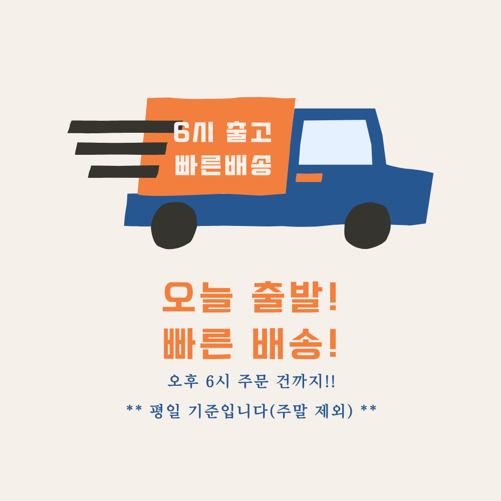 도마뱀 사육장 크레스티드 게코 아크릴 집 크레 케이지 20x20x30 - 상세 이미지 2