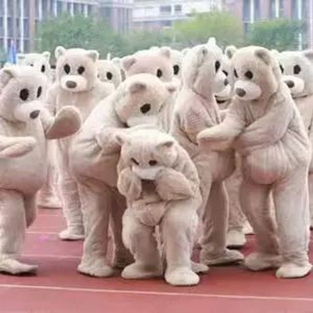 인형탈 복장 코스프레 곰인형 공연 의상 코스튬 할로윈 댄싱 베어 렌탈 S - 상세 이미지 4