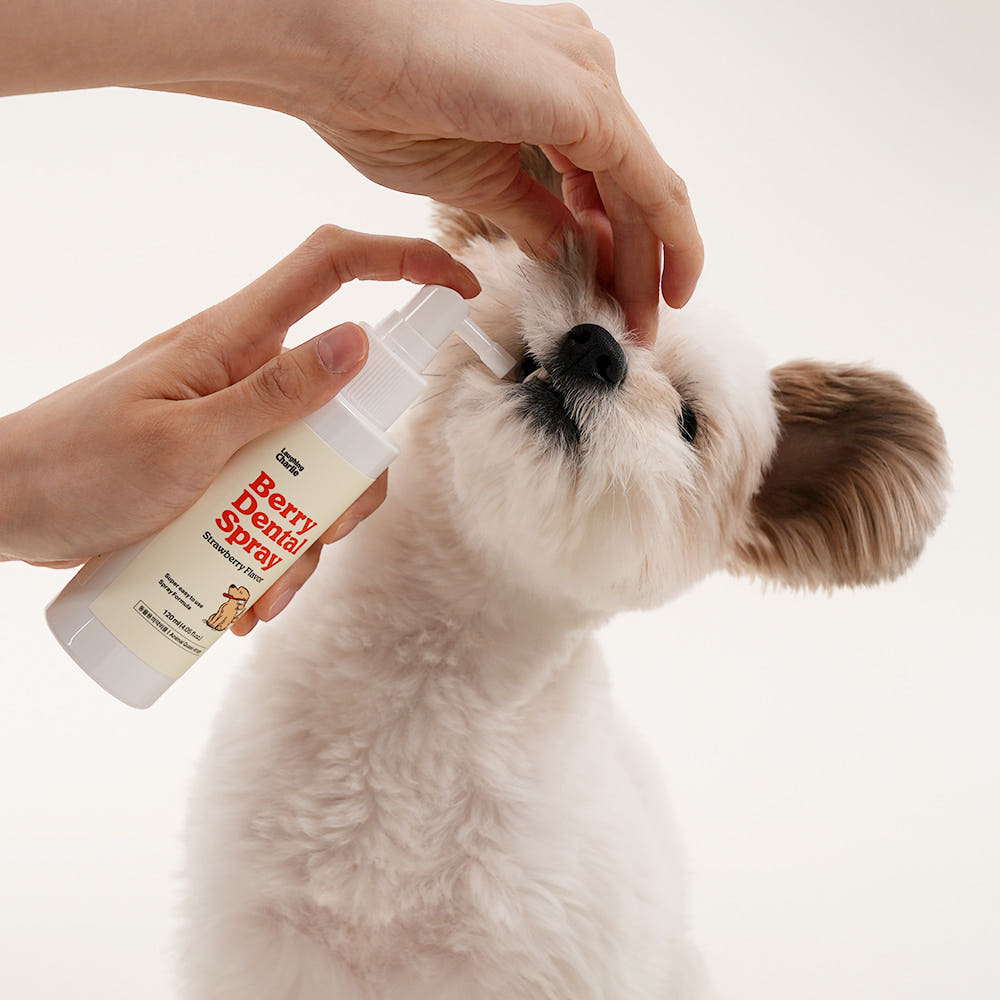래핑찰리 강아지 구강치약 치석제거제 덴탈 스프레이 딸기향 120ml