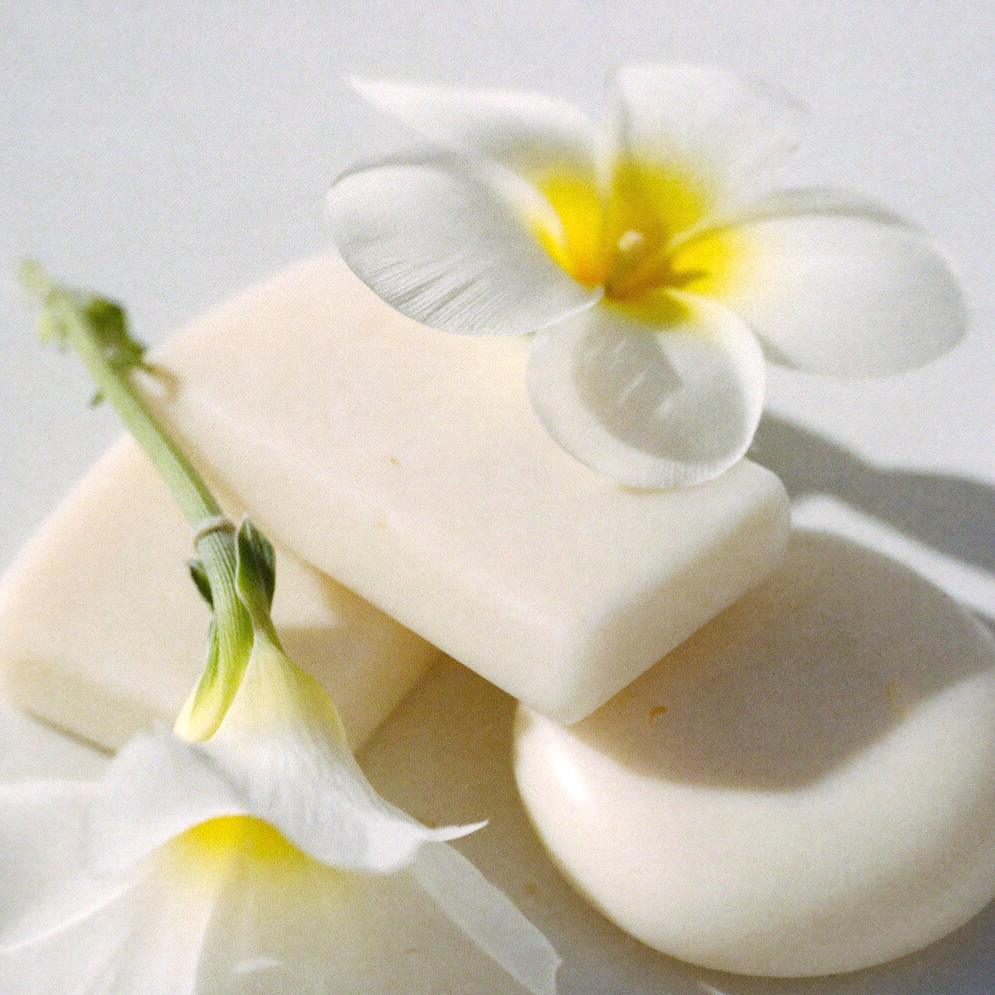 오디크 오 드 퍼퓸 오 솝(비누향), 15ml, 1개