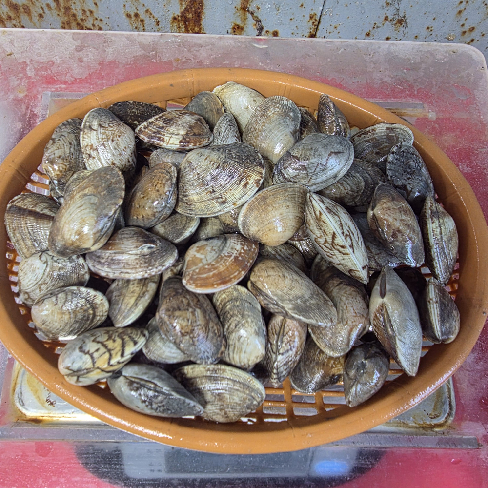 남해안 활 바지락 깐 바지락 해감 손질 국 찜 칼국수 파스타용 1kg - 상세 이미지 5