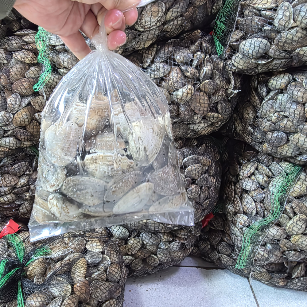 남해안 활 바지락 깐 바지락 해감 손질 국 찜 칼국수 파스타용 1kg - 상품 이미지