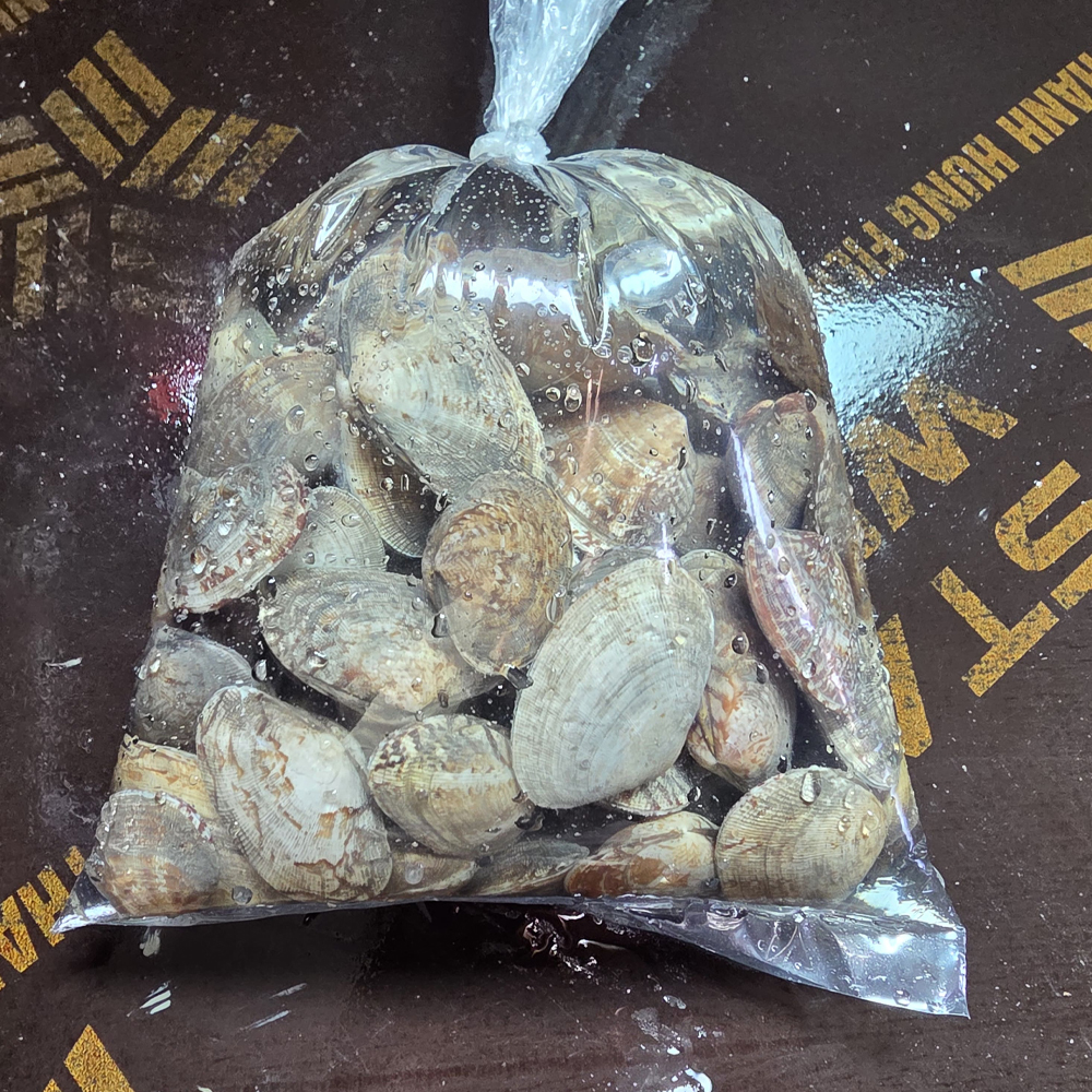 남해안 활 바지락 깐 바지락 해감 손질 국 찜 칼국수 파스타용 1kg - 상세 이미지 4