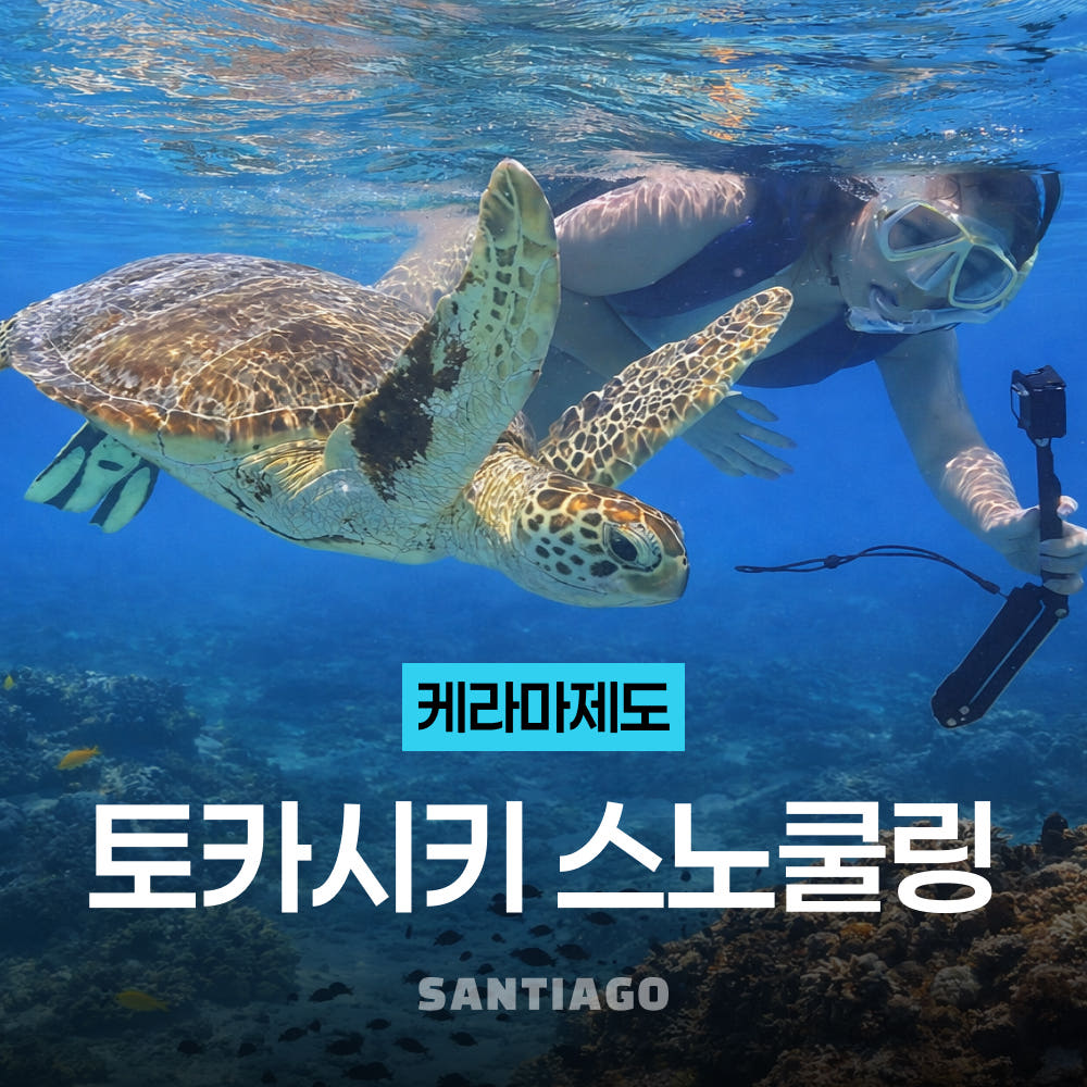오키나와 스노쿨링 나하 케라마 제도 토카시키섬 일일 호핑 투어 바다 거북이 아하렌 비치 점심식사 포함 가격 비교 나트랑 산티아고투어 오키나와 스노쿨링 나하 케라마 제도 토카시키섬 일일 호핑 투어 바다 거북이 아하렌 비치 점심식사 포함