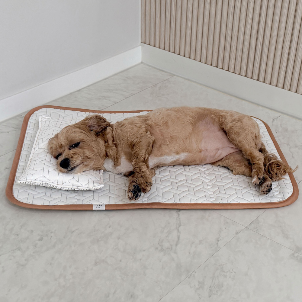 강아지 쿨매트 고양이 쿨매트 듀라론 냉감 패드 반려동물 여름용품 냉감 매트 후기