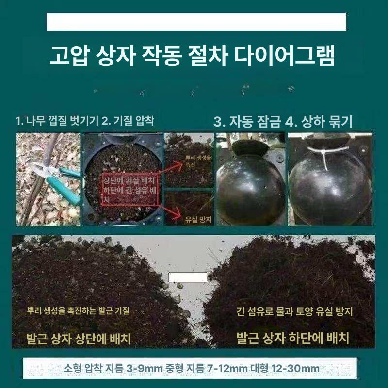 루팅볼 10개 식물 삽목 이식 뿌리 취목볼 공중 대형 투명 재배 고압 세트 공중뿌리 - 상세 이미지 5