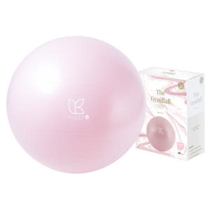아리프 짐볼 안티버스트 요가 필라테스 임산부 65cm, 페일핑크 운동러 솔직 후기 | 실사용 리뷰 - 상품 이미지 1