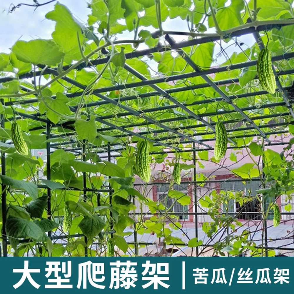 포도나무 넝쿨 지지대 수세미 덩쿨 용 식물지지대 콩 - 상세 이미지 2