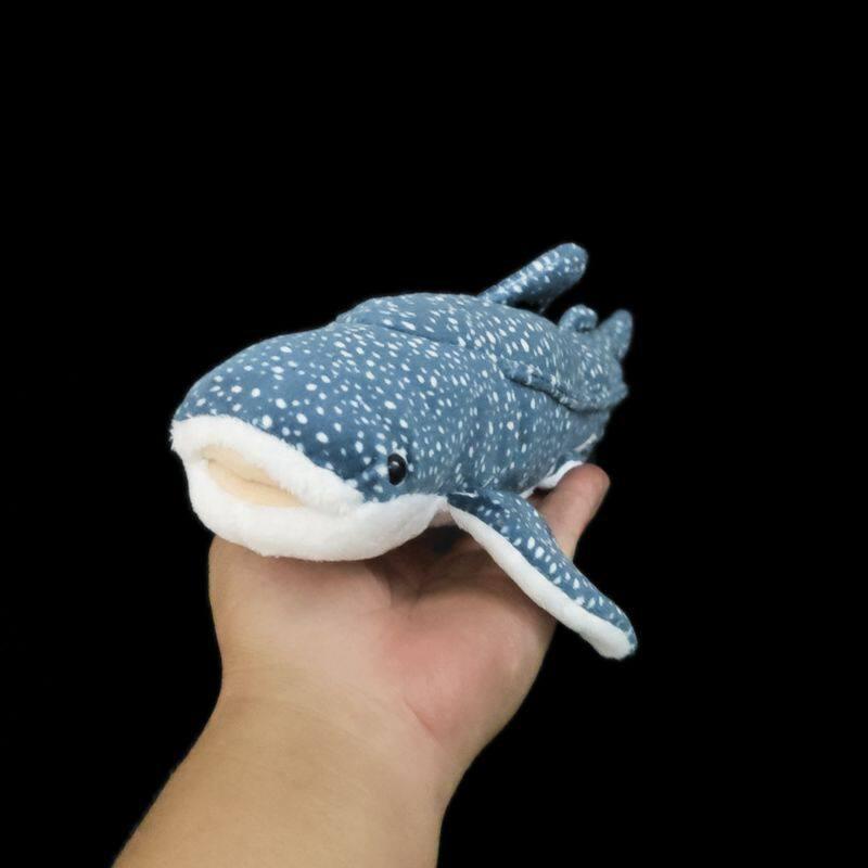 유니크한 오키나와 블루 선물 고래상어 인형 귀여운 블루 코끝과 꼬리끝 30cm - 상세 이미지 3