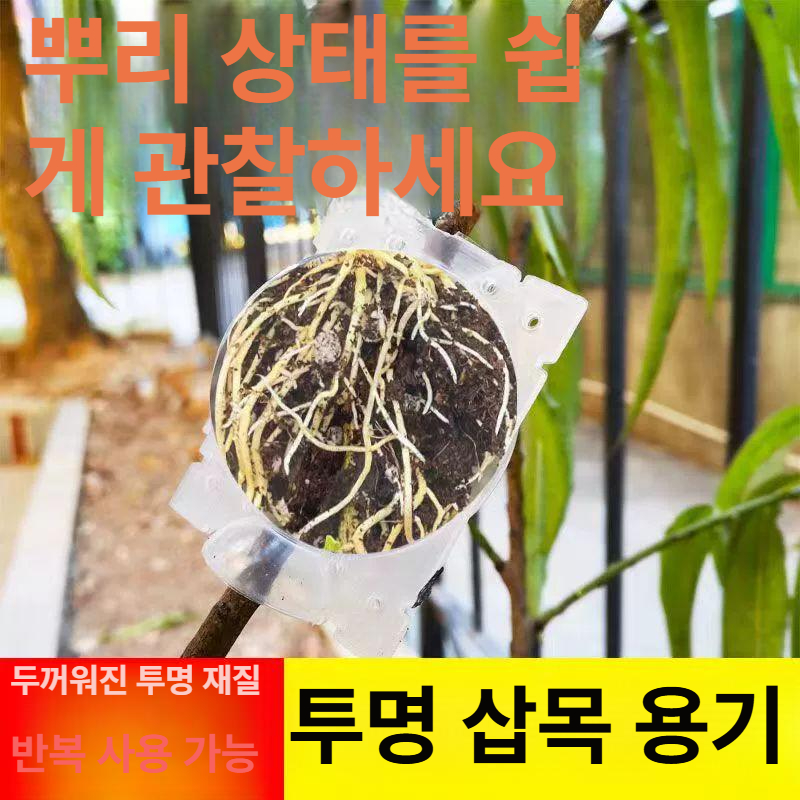 루팅볼 10개 식물 삽목 이식 뿌리 취목볼 공중 대형 투명 재배 고압 세트 공중뿌리 - 상세 이미지 2
