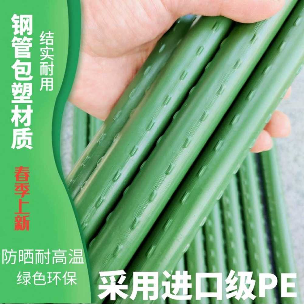 포도 넝쿨 지지대 오이 토마토 용 장비 호박 고정 지주대 - 상세 이미지 3