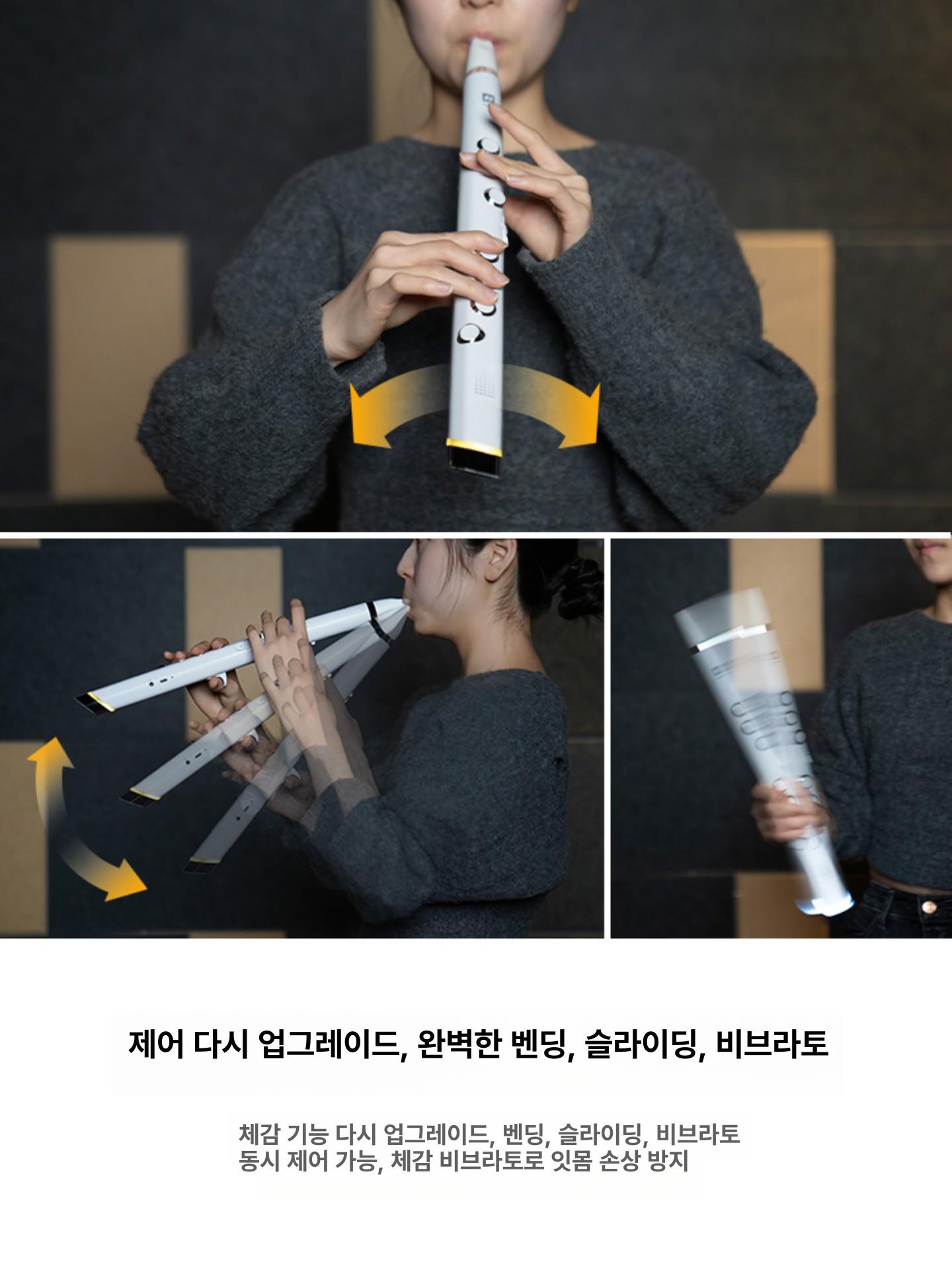 악기 에어로폰 클라리미니 목관 패키지 골드 액세서리 블랙골드 대형 스피커 - 상세 이미지 3