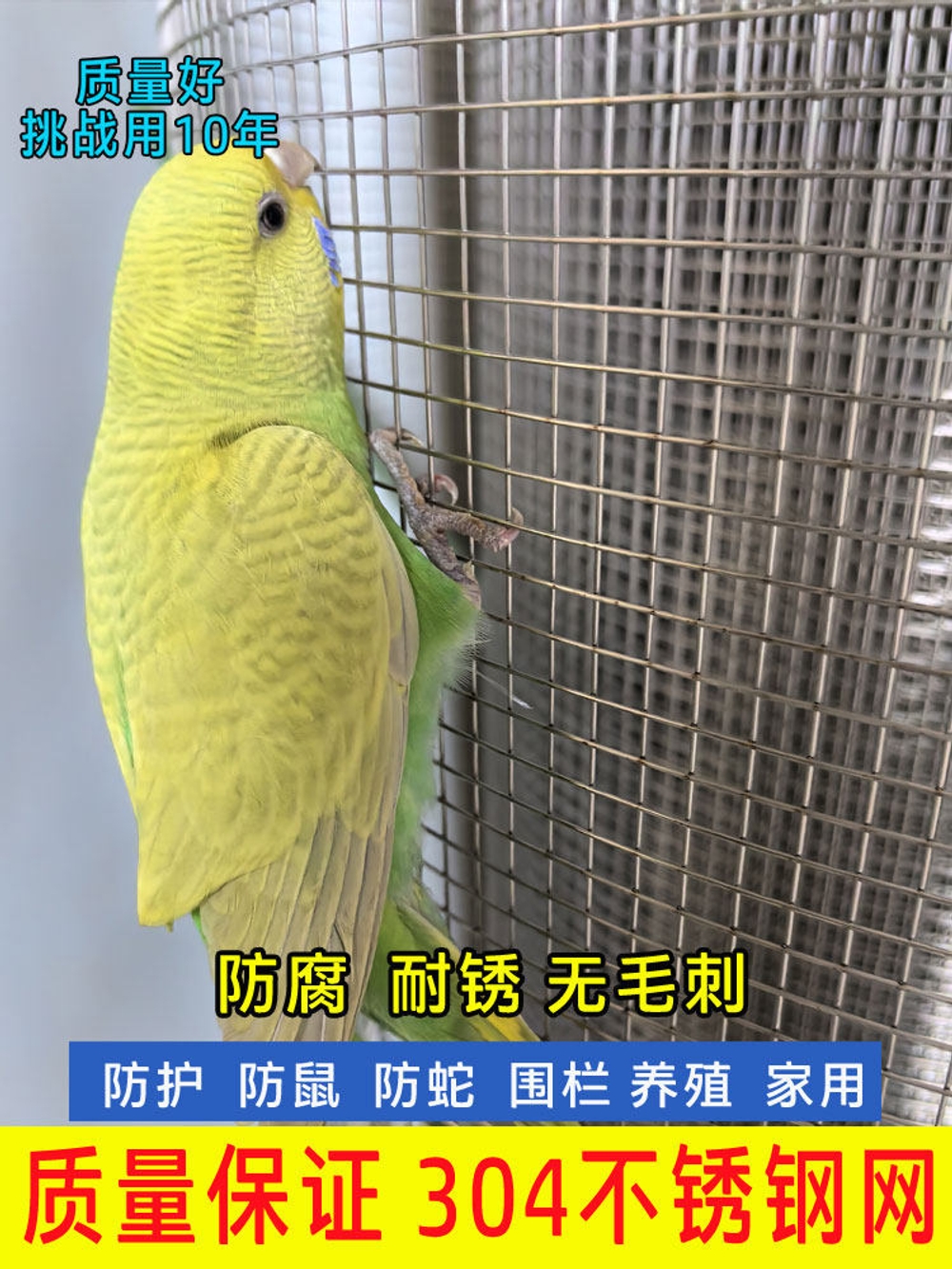 사각 철망 아연 철조망 닭 능형망 녹색 코팅 울타리 경계용 메쉬망 가축방호망 - 상세 이미지 2