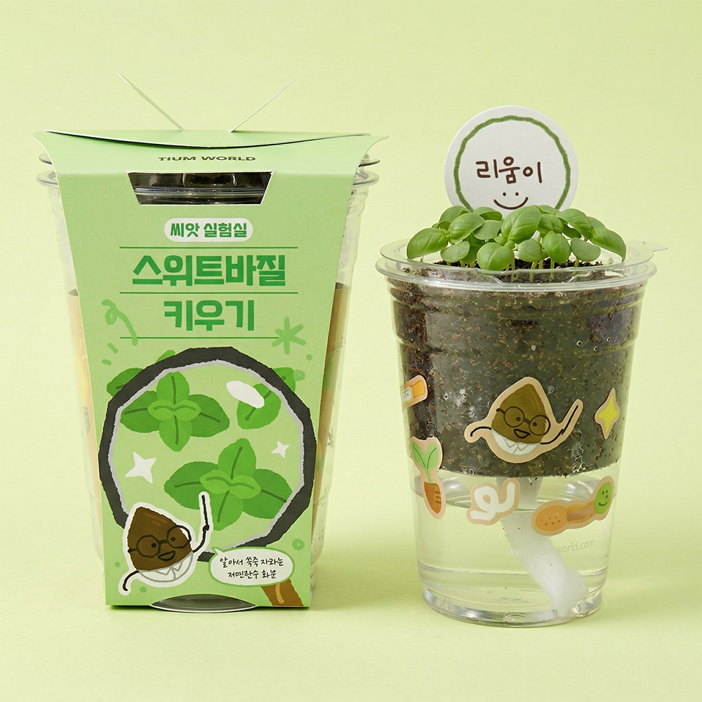 허브 바질 씨앗 키우기 저면관수 재배 세트 - 상품 이미지