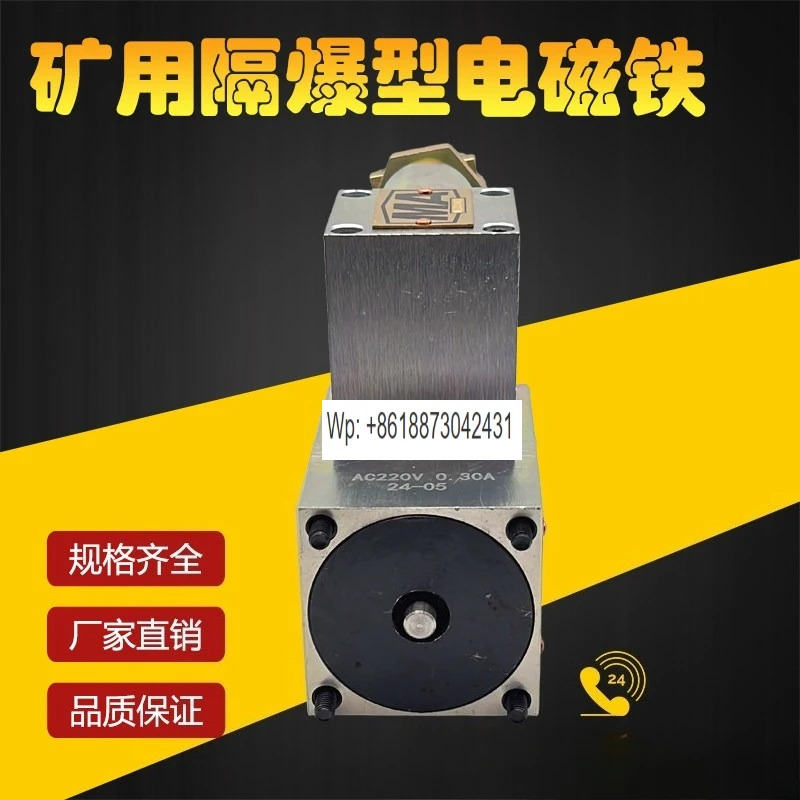 Wuxi 방폭 솔레노이드 DTBZ-25FYC/37FYC/55FYC/90FYC/24V/220 밸브