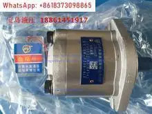 hp호환C 플런저 펌프 P08/P16/P22/P36/P46/P70-A1/A2/A3/A4-F-R-01