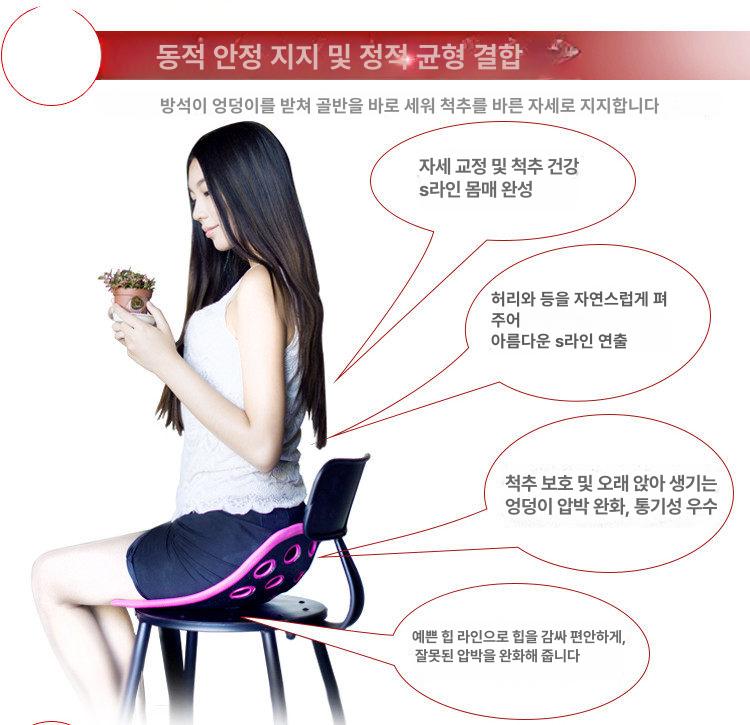 요추방석 허리지지대 차량용 사무실 자세교정 백조이 1.0 쾌적 기본형 40-75kg 백조이 공식 인증 지원 - 상세 이미지 3