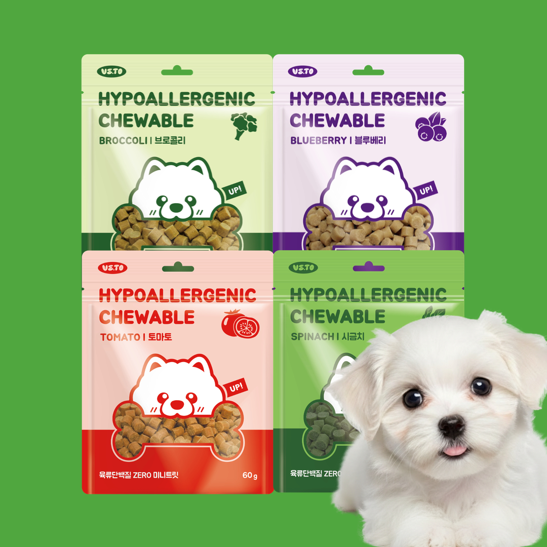 닥터리코 비토 저칼로리 강아지 간식 노즈워크 비건 트릿 4종 버라이어티팩, 60g, 1개 - 상품 이미지