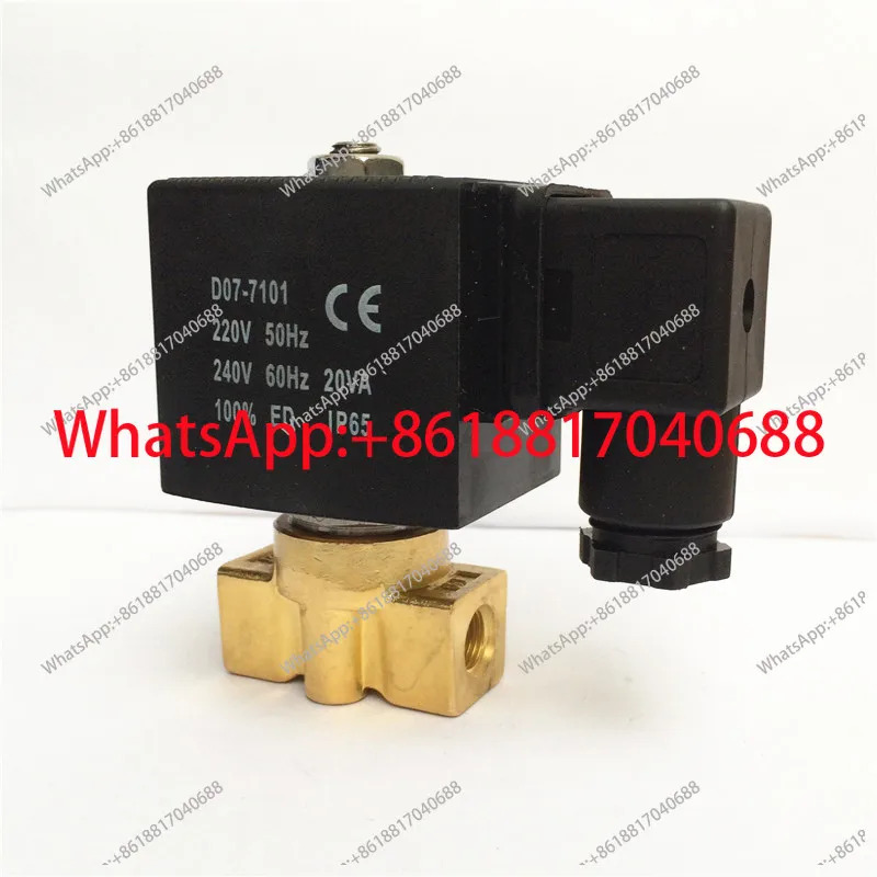 17Mpa 고압 솔레노이드 밸브 워터 에어 AC220V DC24V 압력 170kg