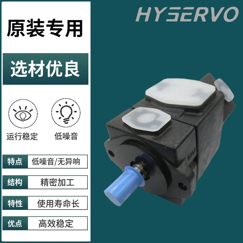 HONGYI PV2R12 PV2R13 PV2R31 PV2R11 PV2R21 이고압 베펌프 32