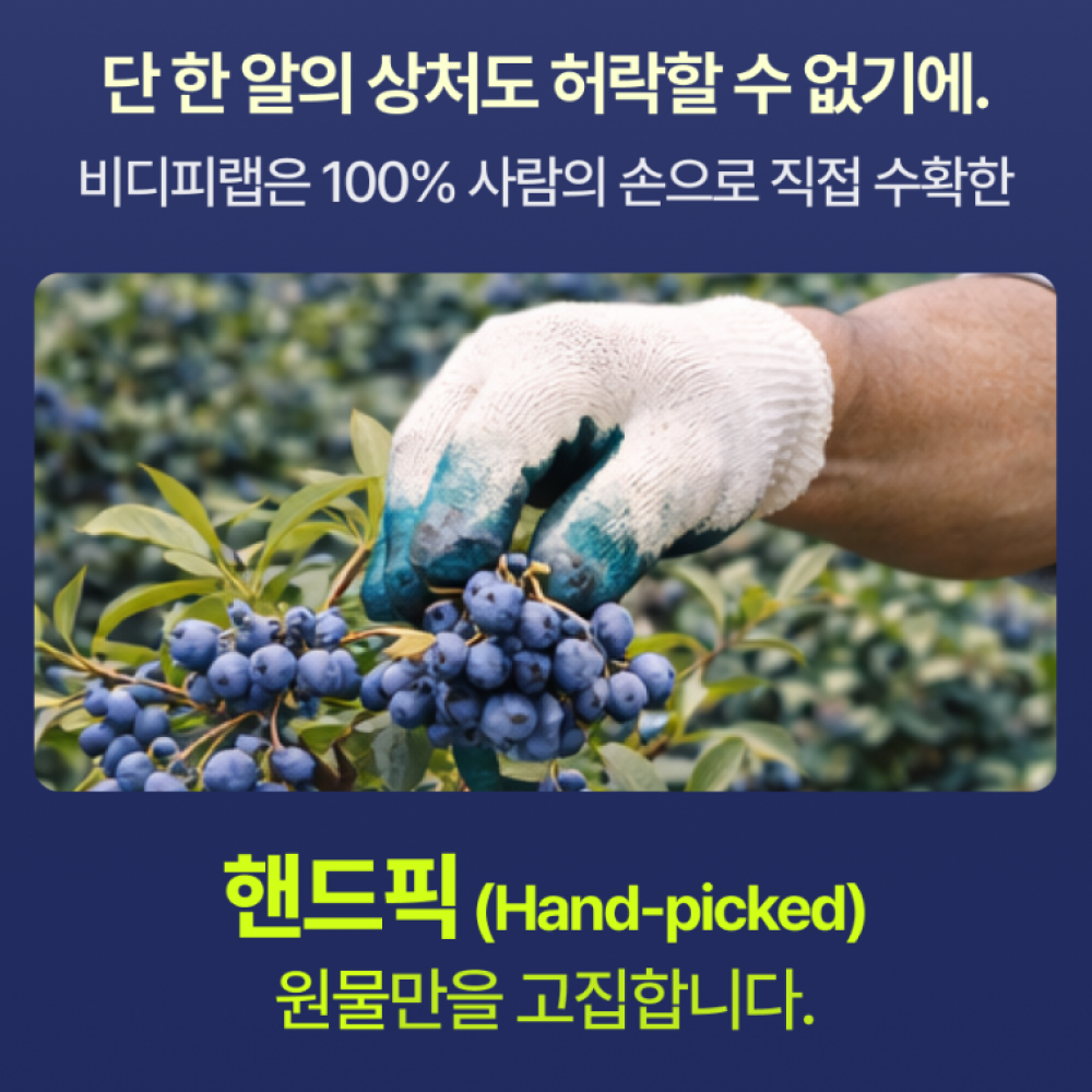 비디피랩 블루베리 퓨레 100% NFC 블루베리즙 스틱 14포, 6개 - 상세 이미지 3