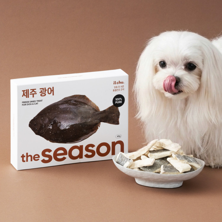 [핏펫] 잇츄 더 시즌 동결건조 3종 강아지 수제간식 광어 홍합 굴 저칼로리 간식