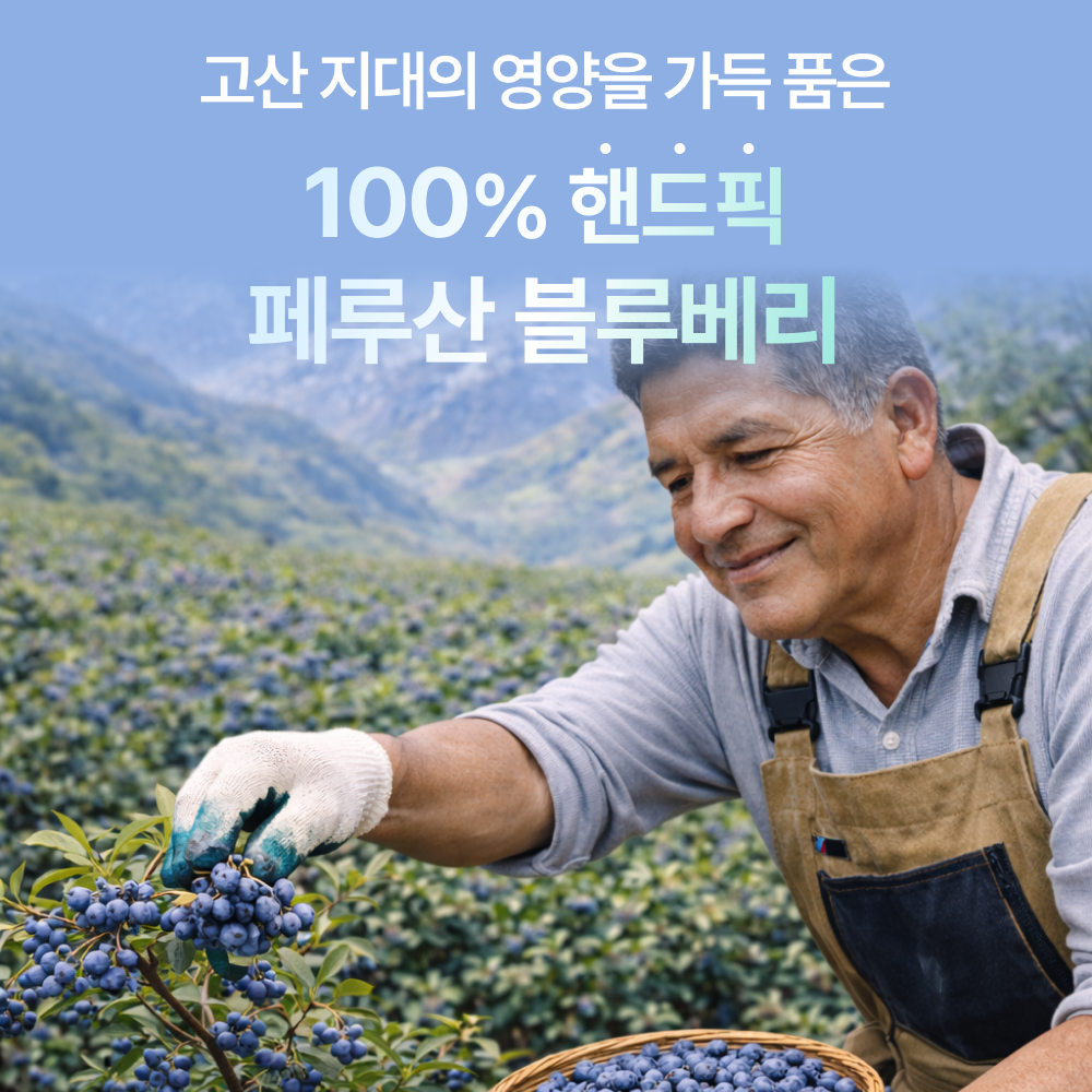 비디피랩 블루베리 퓨레 100% NFC 블루베리즙 스틱 14포, 6개 - 상세 이미지 2