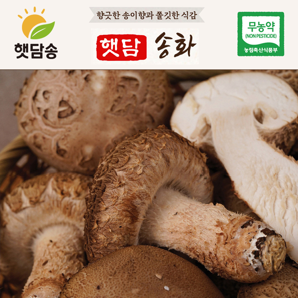 [햇담송화]무농약 국내산 송화 중상급 300g 대형마트 품질그대로 송화고버섯 송고 이미지 6