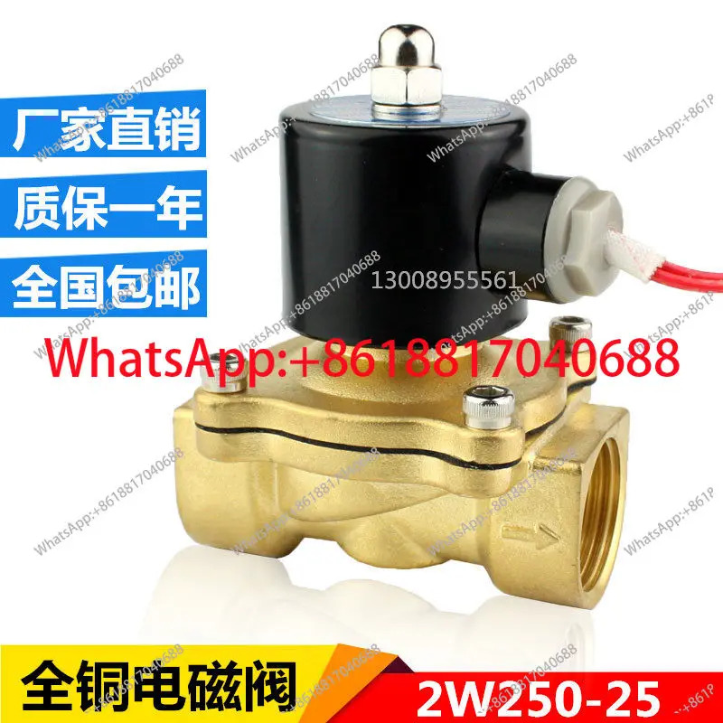 2W250-25 2위치 2방향 전체 구리 솔레노이드 밸브 AC220V DC24V