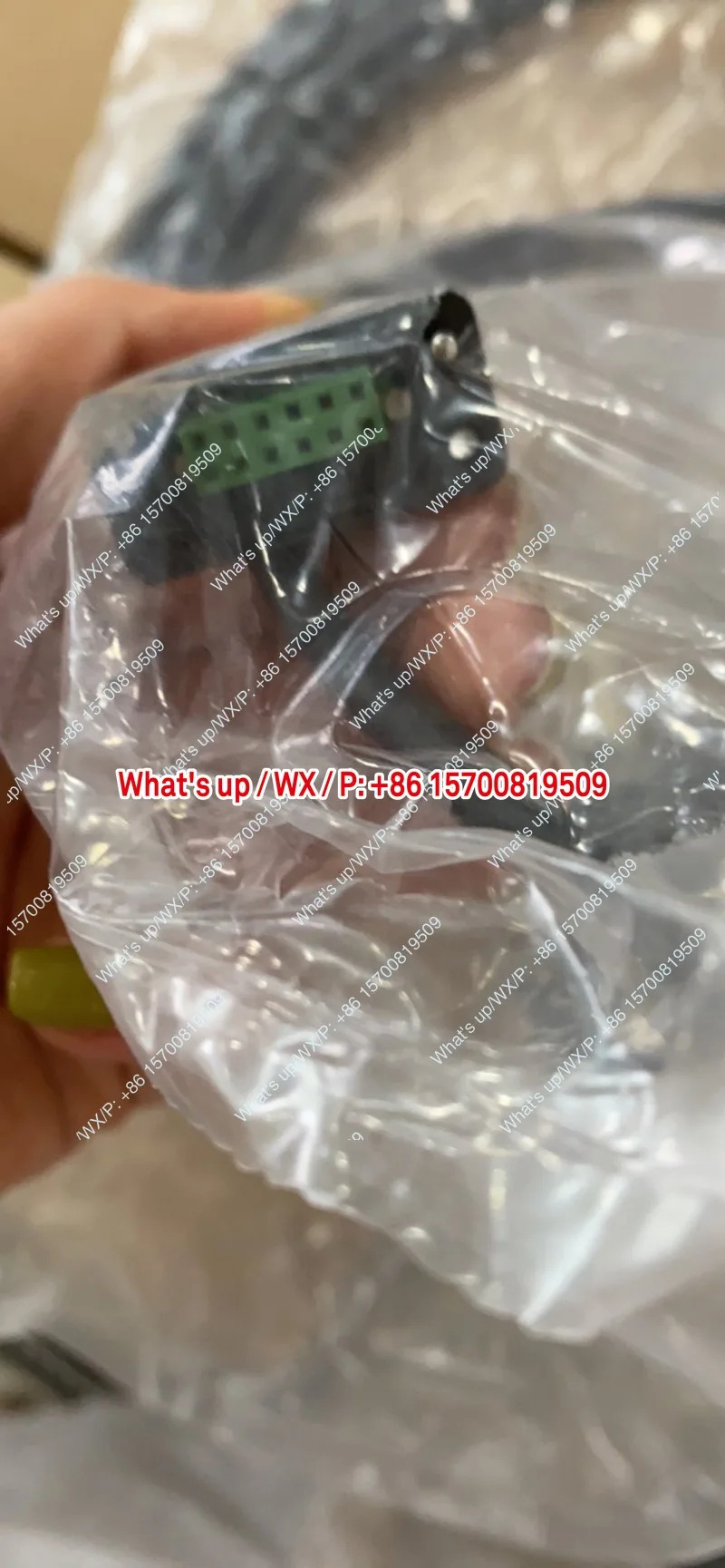독일 오리지널 포장 ID 310128-03적가능