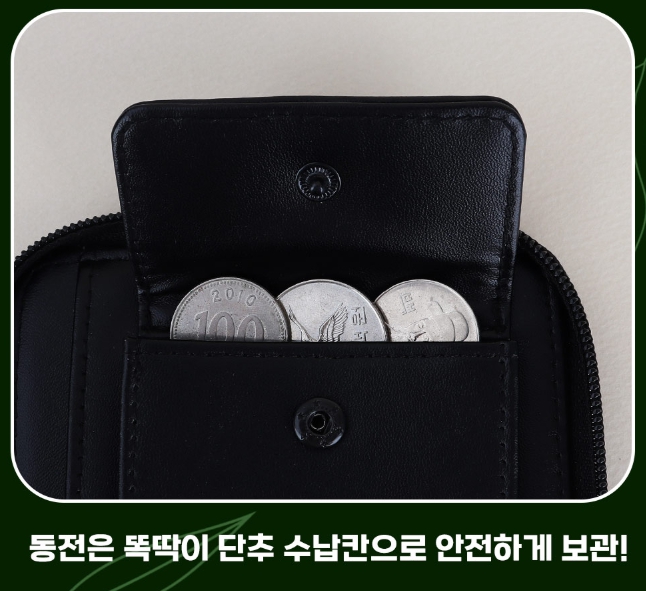 크레스티드 게코 지갑 어린이 초등학생 남아 도마뱀 교통카드 레오파드 파충류 공룡 - 상세 이미지 2