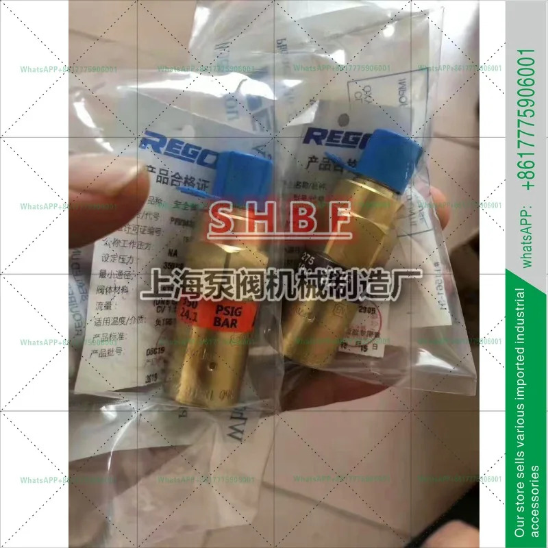 리가오 REGO 안전 밸브 극저온 듀어 액체 질소 산소 LNGPRV9432T350C