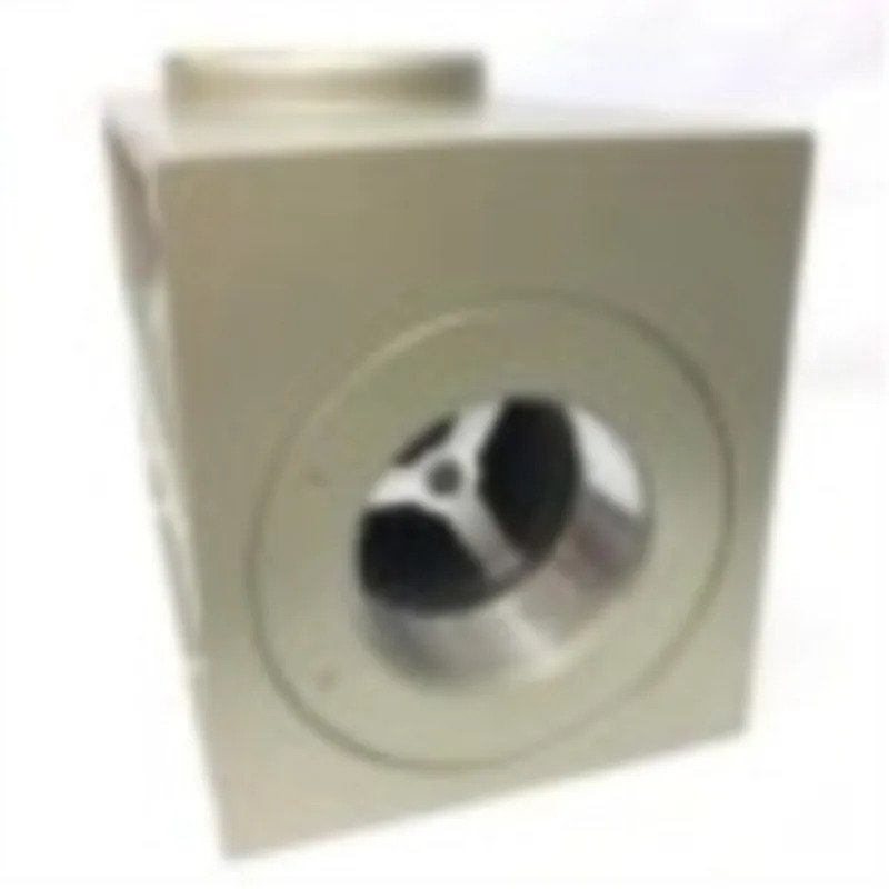2PCS 배기 밸브 KKP-L40