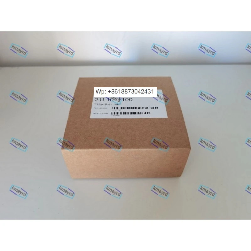 TTR91RN 21L1011100 진공 게이지 1PCS