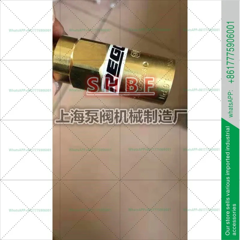 리가오 REGO 안전 밸브 극저온 듀어 액체 질소 산소 LNGPRV9432T350C