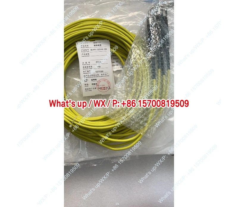 산둥 증기기 온도 프로브 XH-PT1-222110-150