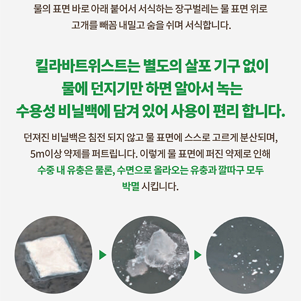 국보 지쎈 킬라바 트위스트 100g 2박스 모기 유충 약 방역 살충 과립 모기약 화장실 정화조 웅덩이 쩔템 이미지 6