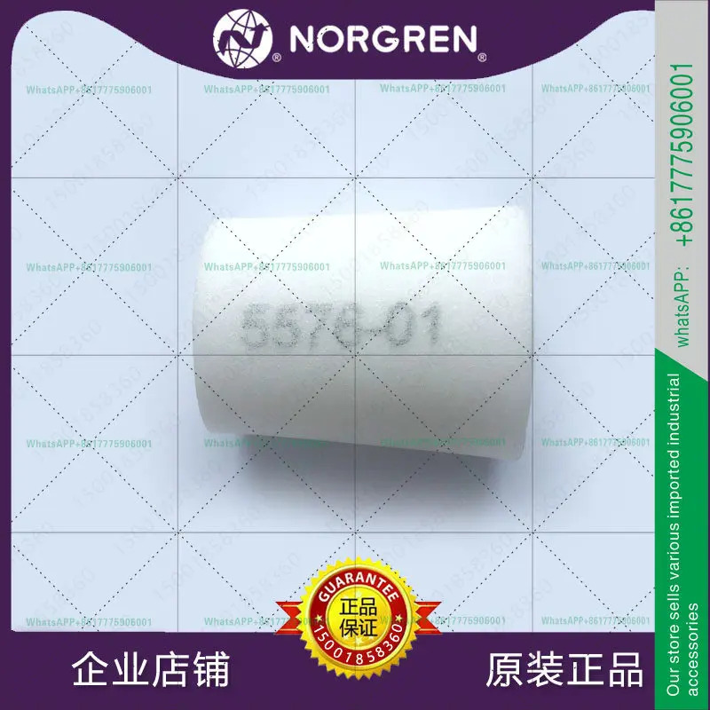 5576-02 NORGREN 03/5576-01/04/05/5576-97/5576-99/98 새