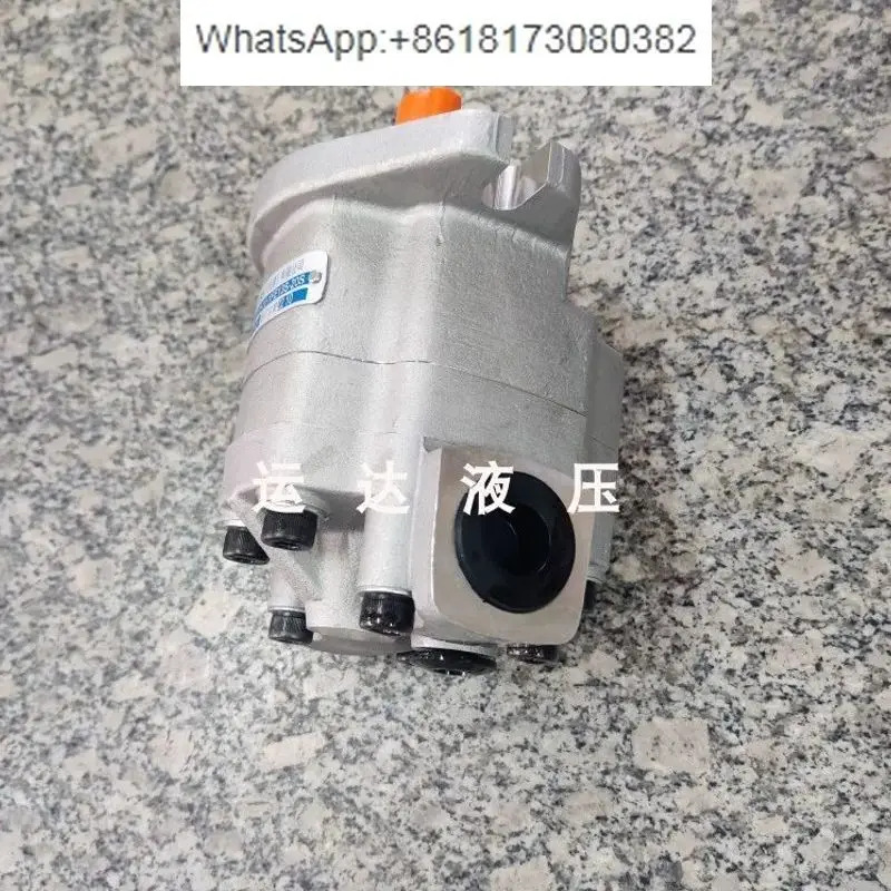 기어 오일 펌프 G5-20-1E13F-20L G5-20-1E13S-20R