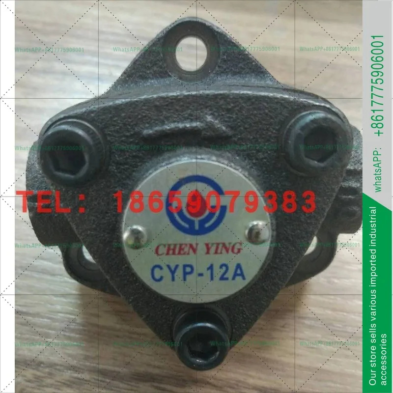 첸잉 CYP-12A-11A 모터 펌프 CYP-10A 삼각 오일 CYP-13A