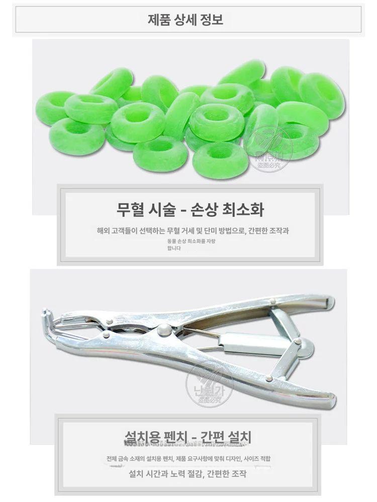 염소 거세링 기계 가위 꼬리 펜치 돼지 거세 스텐 도구 고무링 플라이어 스틸 집게 양 - 상세 이미지 5
