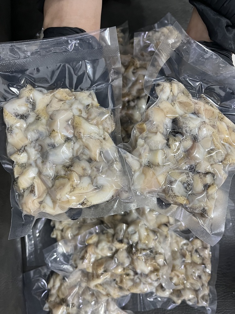포항 백골뱅이 1kg 백고동 통 생 골뱅이 동해안 구룡포 - 상세 이미지 4
